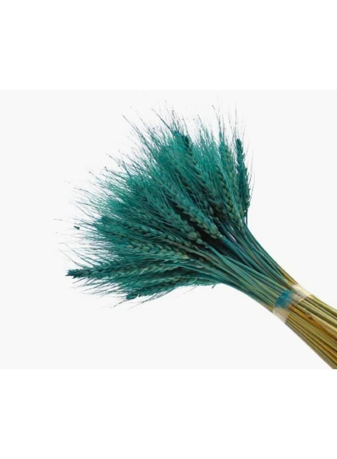 FANCY FLOWERS Fancy Dry Wheat Grass Bouquet Natural Dried Flowers ( Blue bayou  50) - Image 1